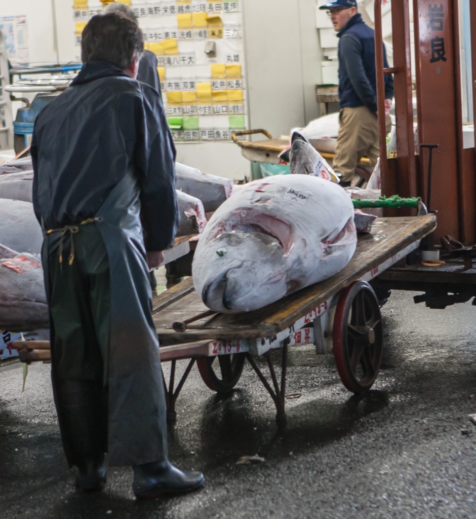 2015-04_Japan_1781