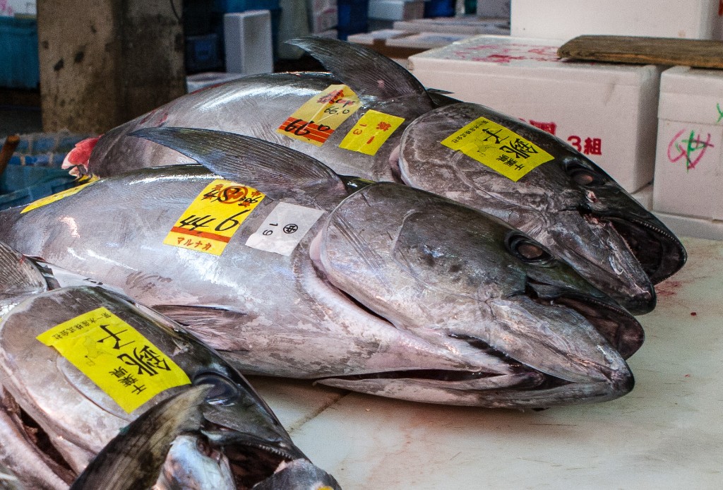 2015-04_Japan_1854