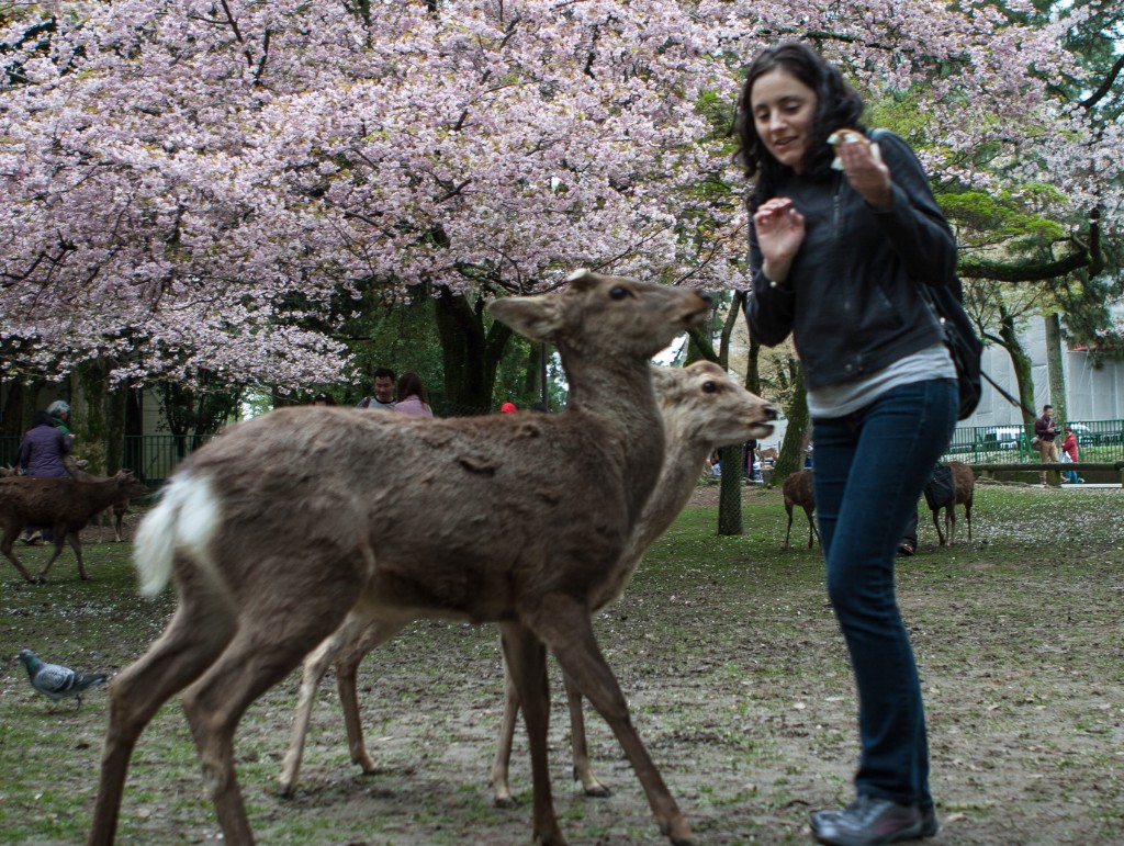 2015-04_Japan_365