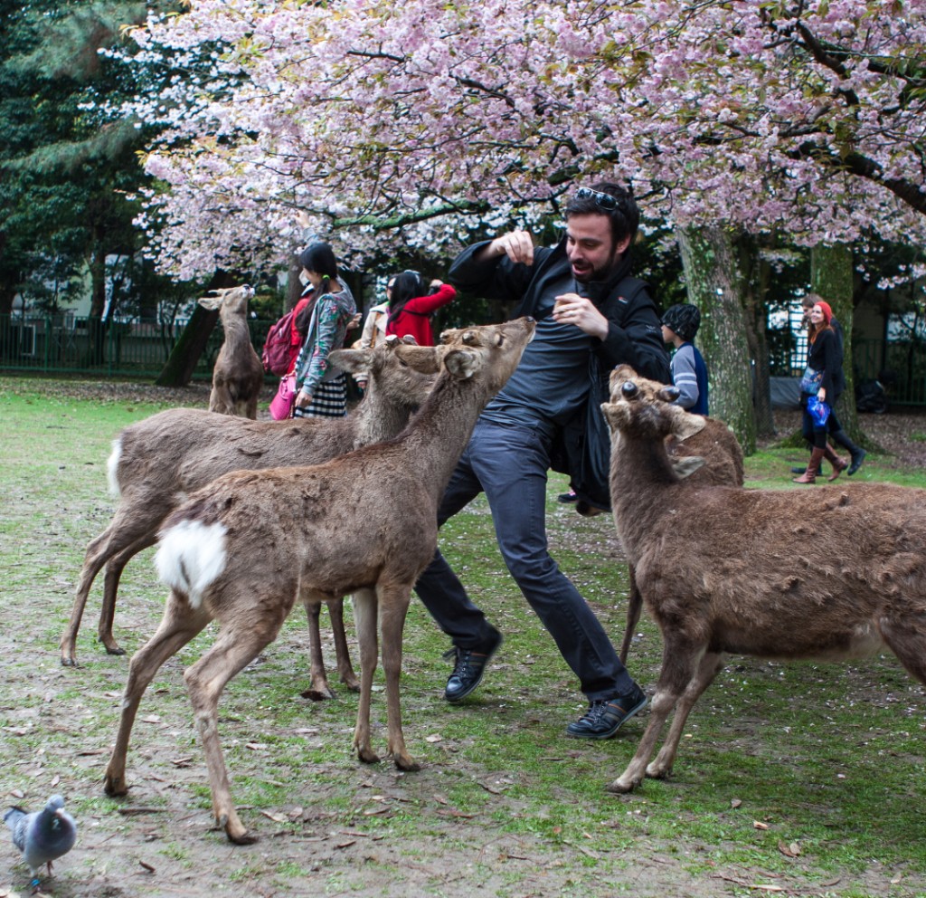 2015-04_Japan_369