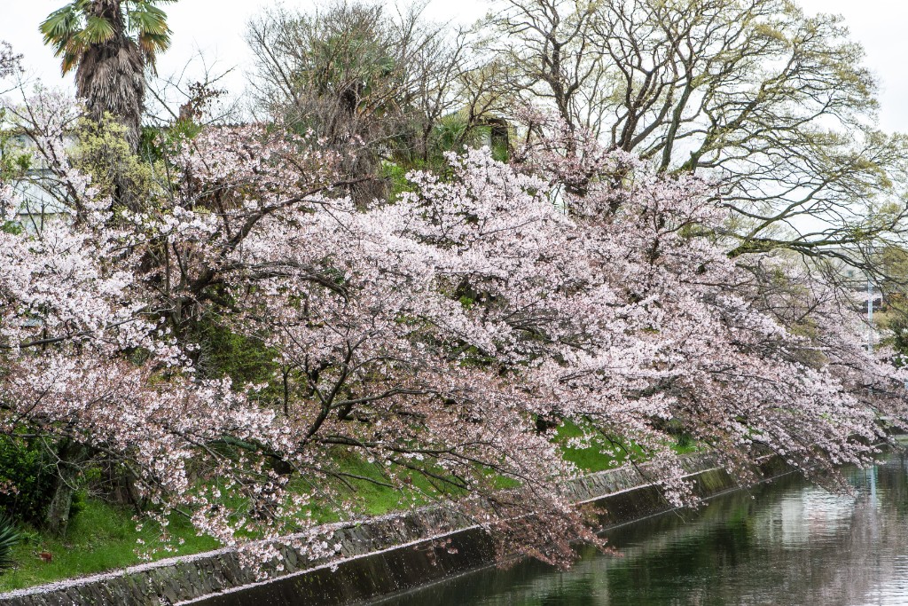 2015-04_Japan_866