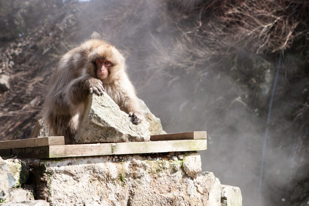 2015-04_Japan_921