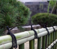 2015-03_Japan_1440