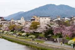 2015-04_Japan_043