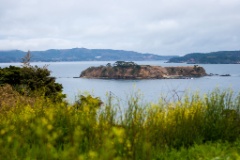 2015-04_Japan_1284