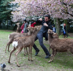2015-04_Japan_369