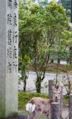 2015-04_Japan_397