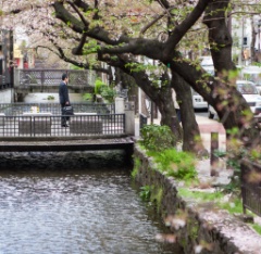 2015-04_Japan_871