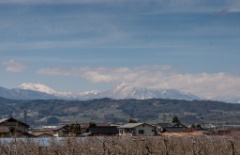 2015-04_Japan_891