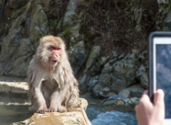 2015-04_Japan_951