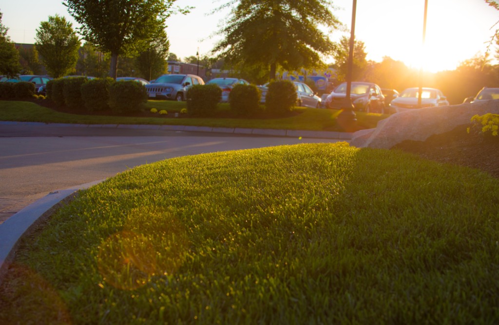 2015-09_CiaranPhotoWalks_017