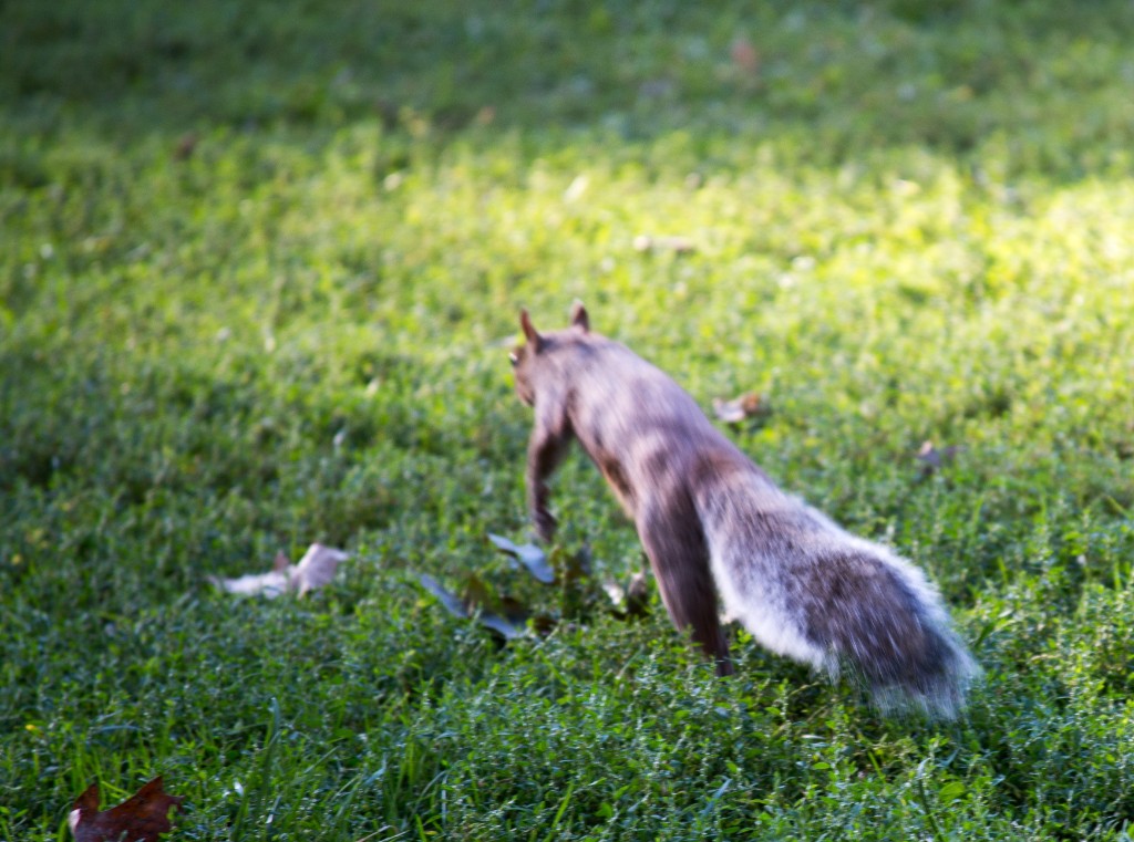 2015-09_CiaranPhotoWalks_127