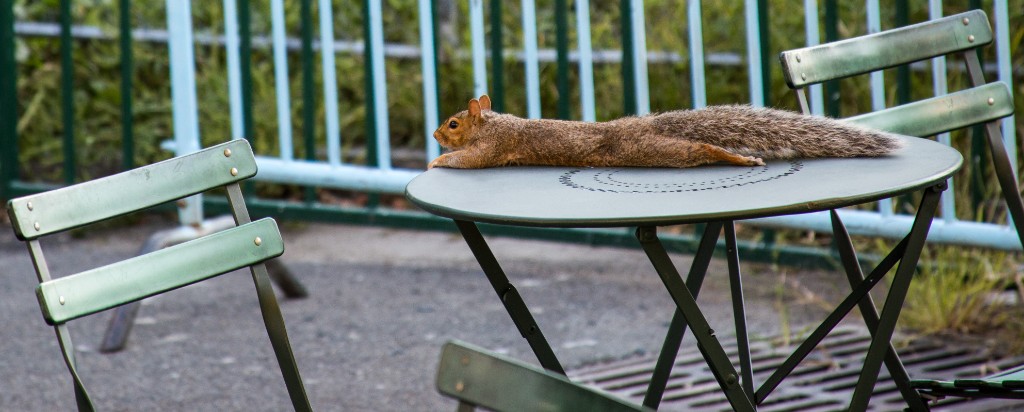 2015-09_CiaranPhotoWalks_175