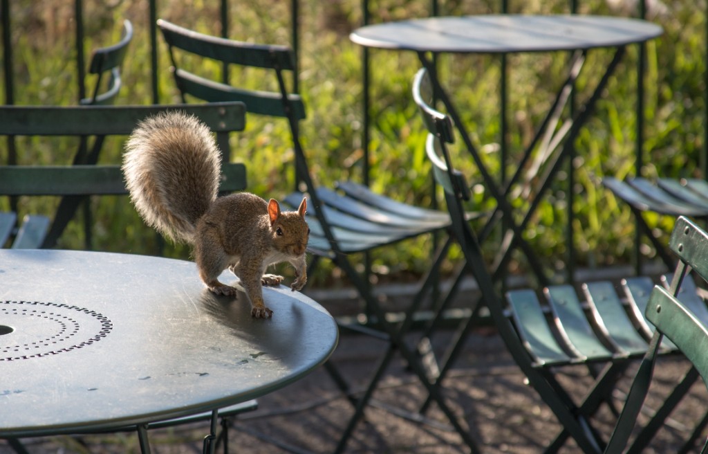 2015-09_CiaranPhotoWalks_190