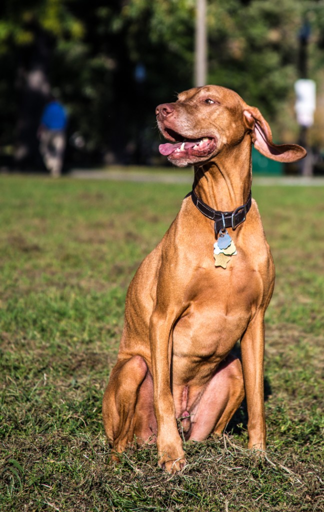 2015-09_CiaranPhotoWalks_224