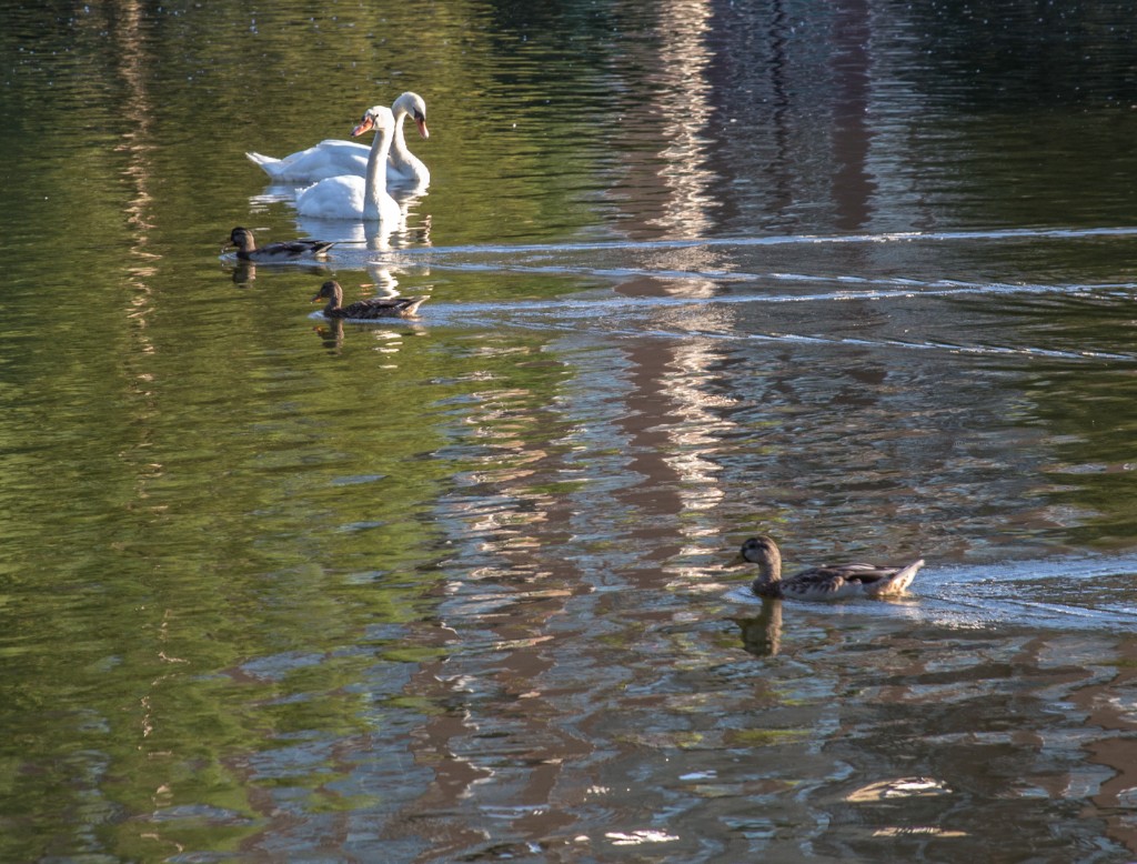 2015-09_CiaranPhotoWalks_272
