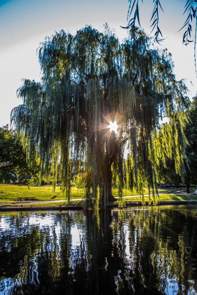 2015-09_CiaranPhotoWalks_324