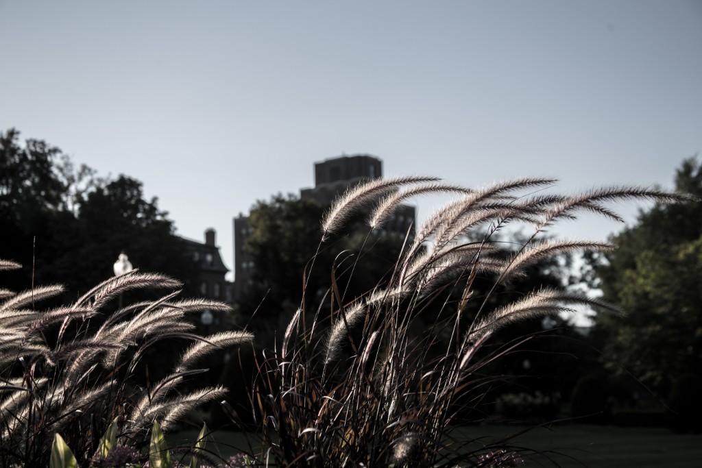 2015-09_CiaranPhotoWalks_347