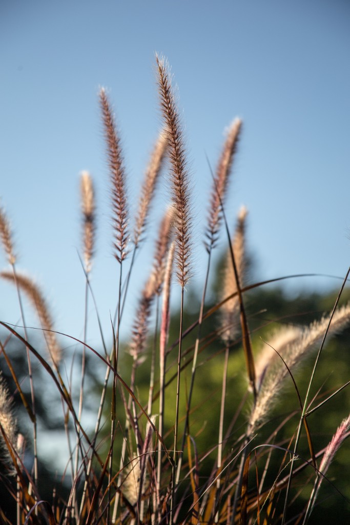 2015-09_CiaranPhotoWalks_357