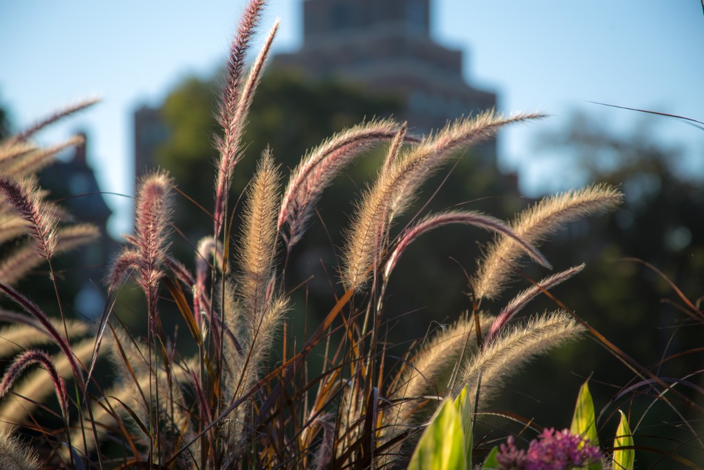 2015-09_CiaranPhotoWalks_363