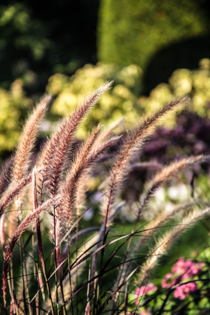 2015-09_CiaranPhotoWalks_369
