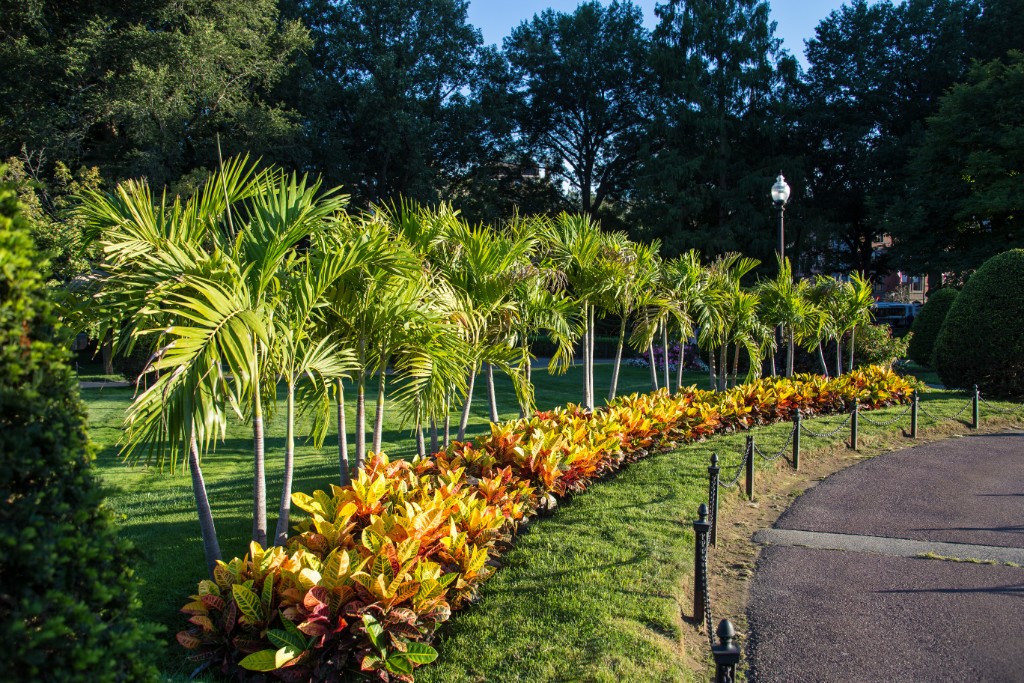 2015-09_CiaranPhotoWalks_390