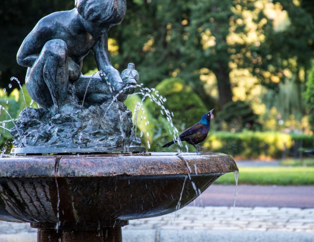 2015-09_CiaranPhotoWalks_432