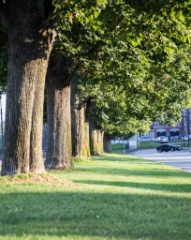 2015-09_CiaranPhotoWalks_070