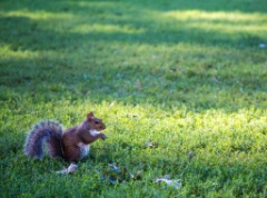 2015-09_CiaranPhotoWalks_151