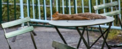 2015-09_CiaranPhotoWalks_175