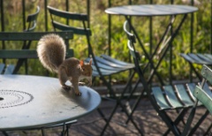 2015-09_CiaranPhotoWalks_190