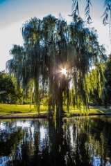2015-09_CiaranPhotoWalks_324