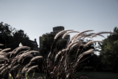2015-09_CiaranPhotoWalks_347