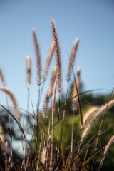 2015-09_CiaranPhotoWalks_357