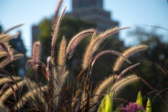 2015-09_CiaranPhotoWalks_363