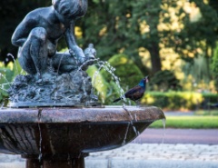 2015-09_CiaranPhotoWalks_432