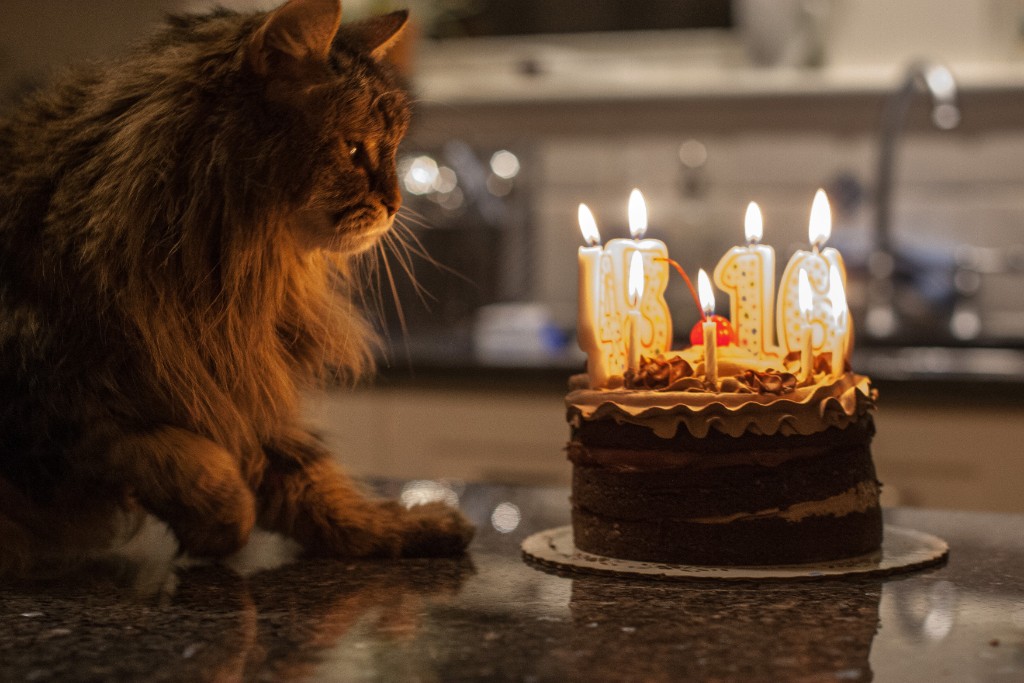 2015-04_TooncesBirthday_030