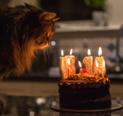 Toonces and Franca's Birthday - April 2015