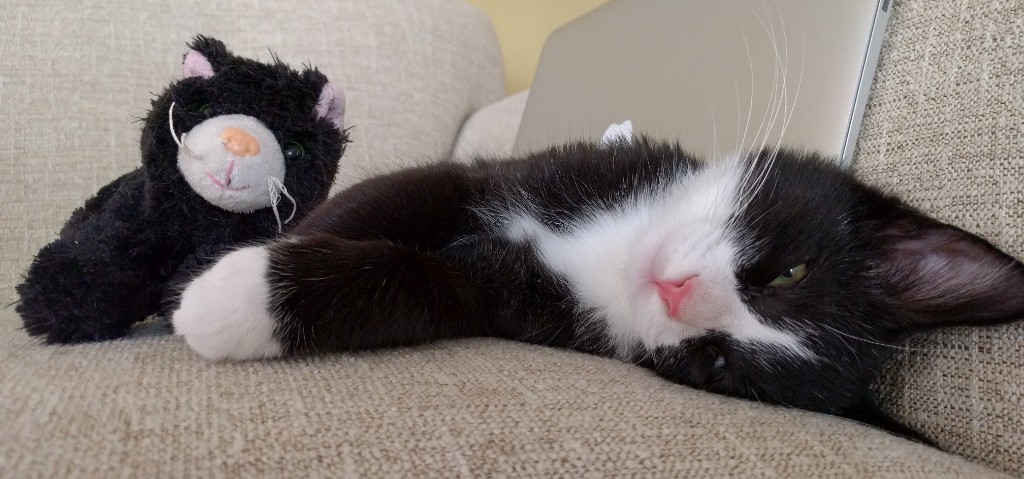 2015-11_SleepingEddie_027