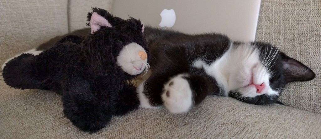 2015-11_SleepingEddie_029