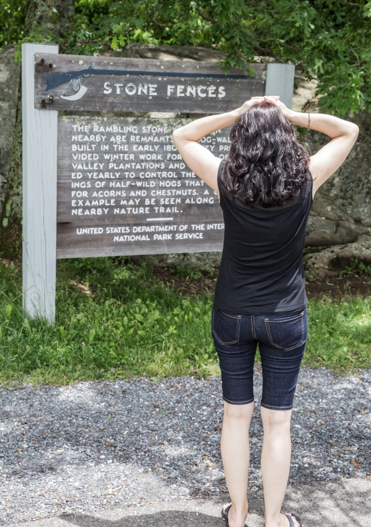 2016-06_Virginia_098