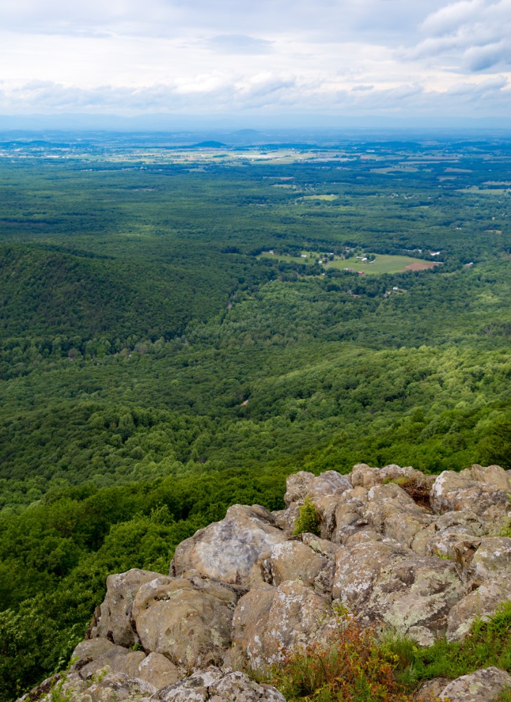 2016-06_Virginia_117