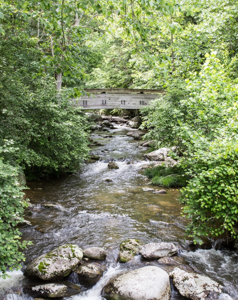 2016-06_Virginia_171