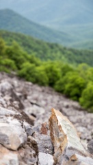 2016-06_Virginia_047