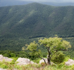 2016-06_Virginia_105