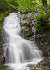2016-06_Virginia_166