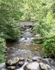 2016-06_Virginia_171