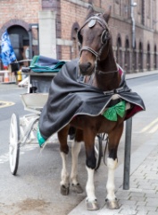 2017-10_Ireland_107
