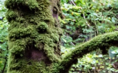 2017-10_Ireland_322