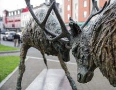 2017-10_Ireland_339